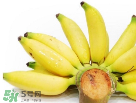 皇帝蕉是轉基因的嗎？皇帝蕉產(chǎn)地是哪里？