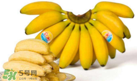 帝王蕉是芭蕉嗎？帝王蕉和芭蕉的區(qū)別