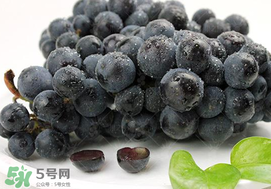 無籽葡萄有哪些品種？無籽葡萄多少錢一斤？