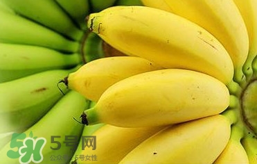 帝王蕉多少錢一斤？帝王蕉是轉(zhuǎn)基因香蕉嗎