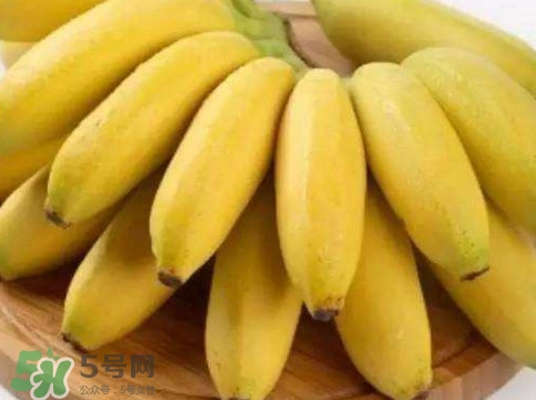 帝王蕉多少錢一斤？帝王蕉是轉(zhuǎn)基因香蕉嗎