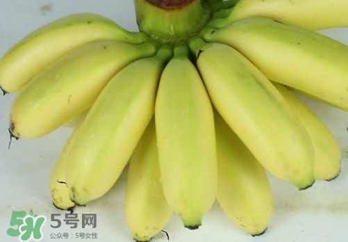 帝王蕉和皇帝蕉有區(qū)別嗎？帝王蕉和普通香蕉區(qū)別