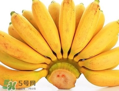 皇帝蕉是芭蕉嗎？皇帝蕉和芭蕉的區(qū)別
