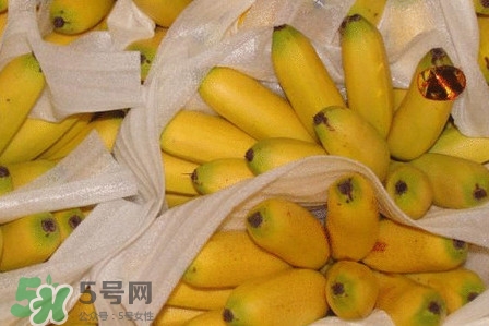 皇帝蕉是不是香蕉？皇帝蕉與普通香蕉區(qū)別
