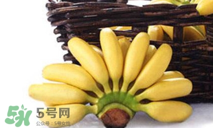 帝王蕉是芭蕉嗎？帝王蕉和芭蕉的區(qū)別
