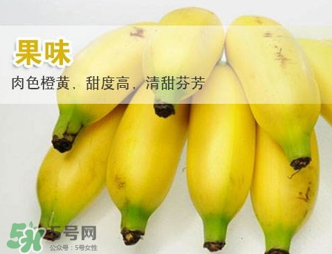 皇帝蕉多少錢一斤？2017皇帝蕉價格