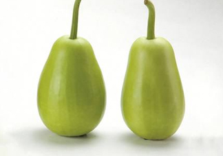 苦瓠子有毒嗎？苦瓠子中毒怎么辦？