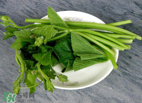 南瓜葉怎么處理？南瓜葉怎么炒？