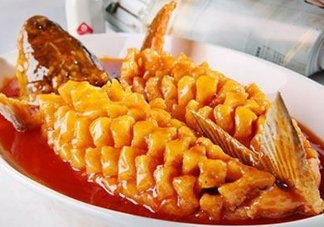 松鼠魚是哪里的菜？松鼠魚是什么菜系？