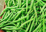 7月份可以種豆角嗎？豆角幾月份種？