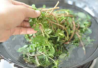螞蚱菜能生吃嗎？螞蚱菜可以生吃嗎