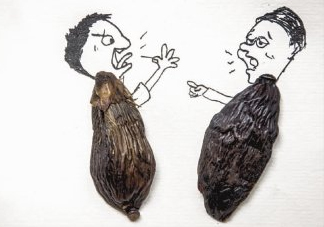 口味王檳榔是什么東西？口味王檳榔怎么吃