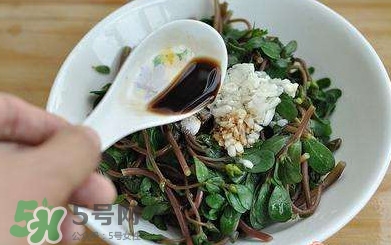 螞蚱菜怎么炒好吃？螞蚱菜做法有哪幾種