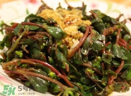 螞蚱菜怎么炒好吃？螞蚱菜做法有哪幾種
