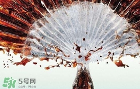 運(yùn)動(dòng)后可以喝可樂(lè)嗎？運(yùn)動(dòng)后喝可樂(lè)會(huì)胖嗎？