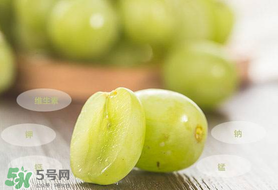 青提怎么保存？青提可以放冰箱嗎？