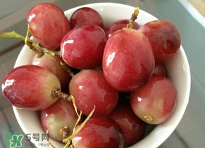紅提多少錢一斤？紅提子多少錢一斤？