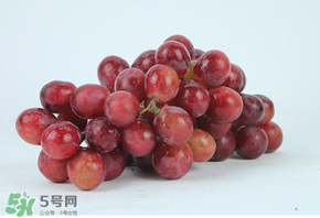 紅提多少錢一斤？紅提子多少錢一斤？