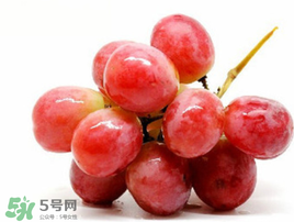 紅提可以放冰箱嗎？紅提放冷庫怎么保存？