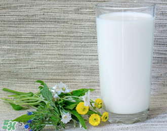 脫脂奶粉哪個(gè)牌子好？脫脂奶粉什么品牌的好？