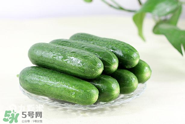 水果黃瓜常溫能放多久？水果黃瓜怎么保存？