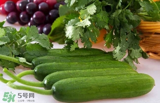 水果黃瓜是轉(zhuǎn)基因嗎？水果黃瓜的功效和作用