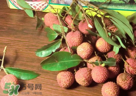 掛綠荔枝什么時候上市？掛綠荔枝什么時候成熟