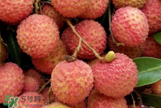 從化荔枝品種有哪些？從化哪里可以摘荔枝