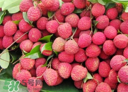 增城荔枝節(jié)是什么時候？2017年增城荔枝節(jié)時間