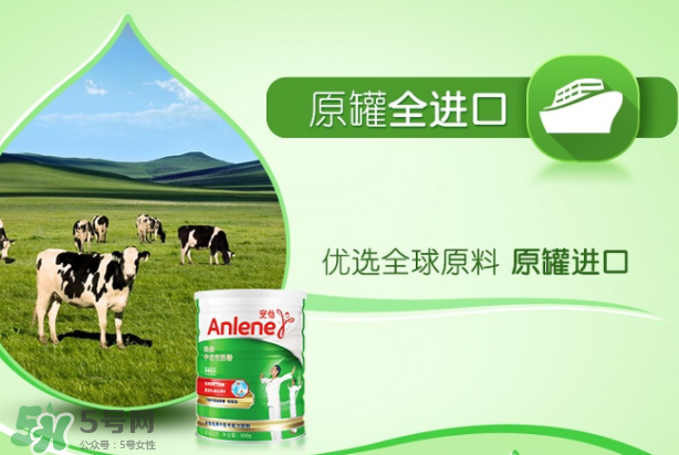 Anlene安怡奶粉怎么樣？Anlene安怡奶粉好不好？