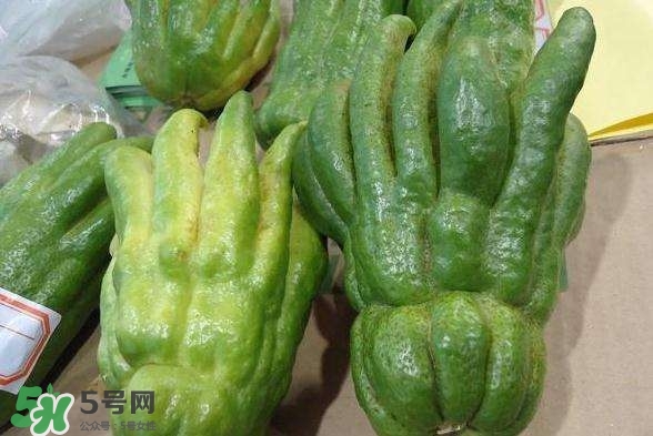 佛手與佛手瓜有什么區(qū)別？佛手與佛手鉗有什么區(qū)別