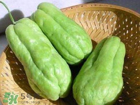 佛手瓜汁沾到手上怎樣洗？佛手瓜怎么做好吃？