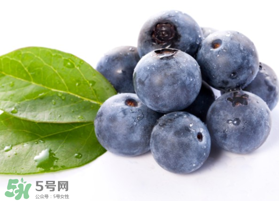 藍(lán)莓是什么顏色？藍(lán)莓泡水什么顏色？