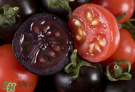 藍(lán)莓和番茄能一起吃嗎？藍(lán)莓和西紅柿能一起吃嗎？