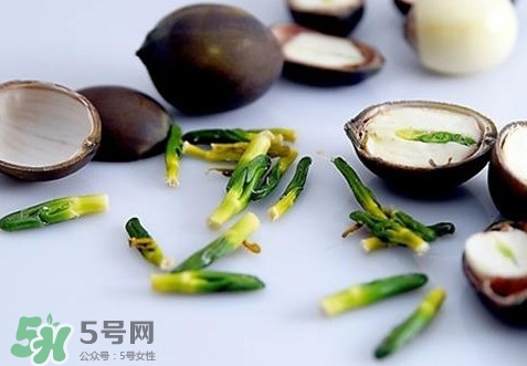 蓮子心能吃嗎？蓮子心是藥食同源嗎