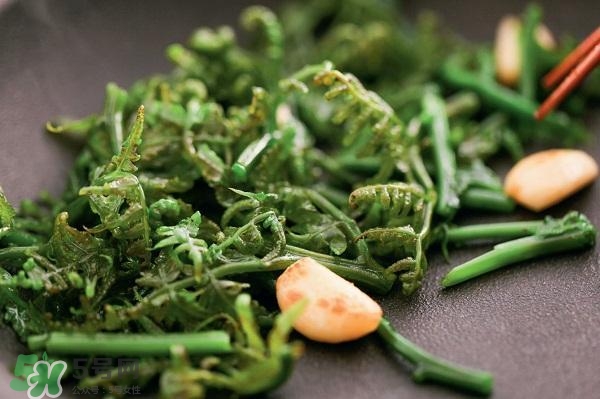 龍須菜怎么清洗？龍須菜怎么處理？