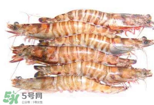 九節(jié)蝦是海蝦嗎？九節(jié)蝦是海蝦還是河蝦