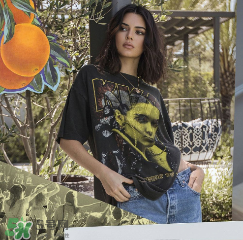 kendall kylie2017復古系列短袖t恤怎么樣_好看嗎_款式有哪些？