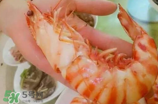 九節(jié)蝦是海蝦嗎？九節(jié)蝦是海蝦還是河蝦