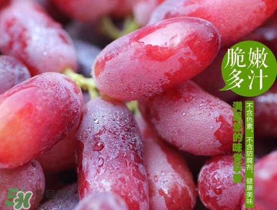 無籽紅提有涂避孕藥嗎？無籽紅提是轉基因嗎？