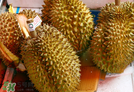 托曼尼榴蓮怎么才是熟？托曼尼榴蓮怎么看生熟？