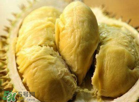 托曼尼榴蓮多少錢？托曼尼榴蓮是哪里的？