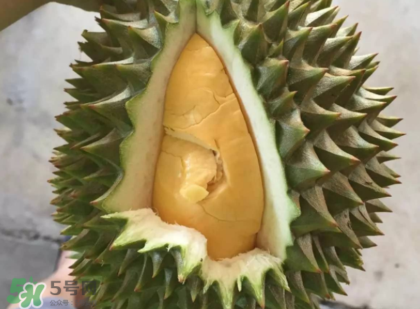托曼尼榴蓮又叫什么？托曼尼榴蓮簡介