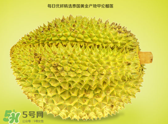 甲侖榴蓮和金枕哪個貴？甲侖榴蓮和金枕的區(qū)別