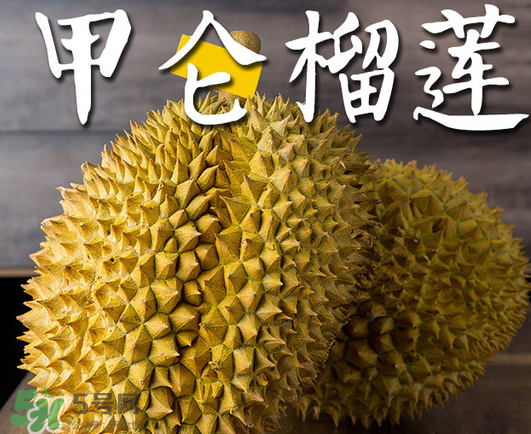 泰國甲倫榴蓮好吃嗎？甲倫榴蓮的特點(diǎn)