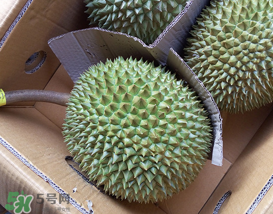 干堯榴蓮怎么樣算熟了？干堯榴蓮怎么挑選？