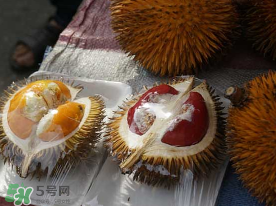 榴蓮核可以煲湯嗎？榴蓮核可以煲雞湯嗎？