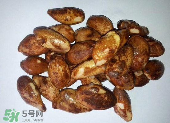 榴蓮核可以煲湯嗎？榴蓮核可以煲雞湯嗎？