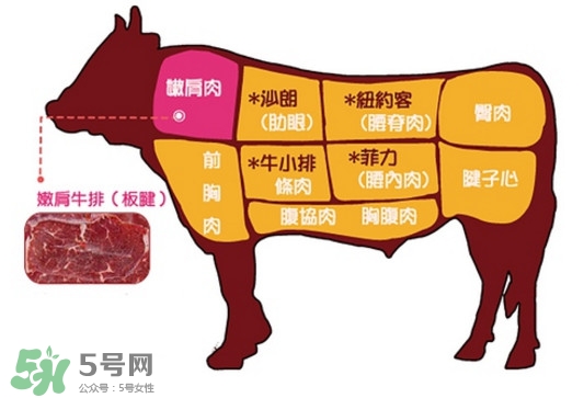 牛排是牛的哪個(gè)部位？牛排是牛身上哪塊肉？