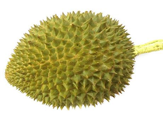 托曼尼榴蓮多少錢？托曼尼榴蓮是哪里的？